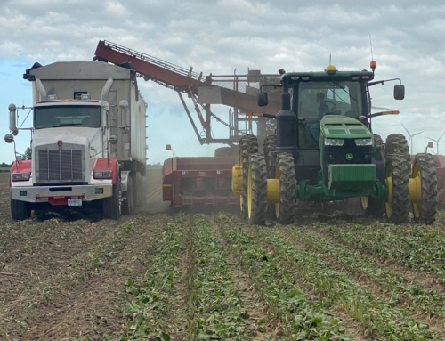 Michigan Sugar Company begins 2020-2021 sugarbeet slicing campaign