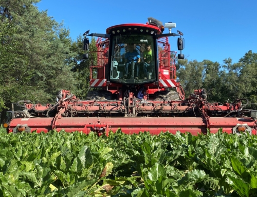 Michigan Sugar Company anticipates record crop as full beet harvest begins